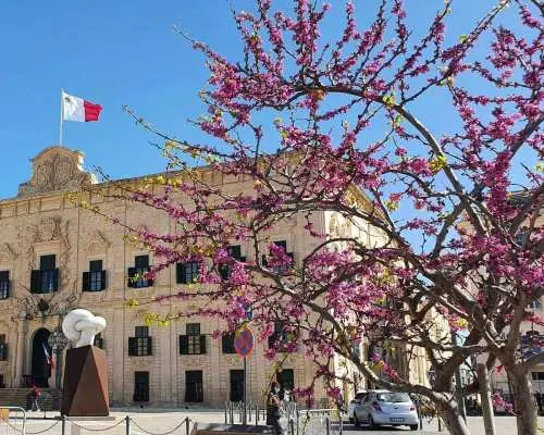 Valletta: City Walking Tour in a Small Group｜Malta