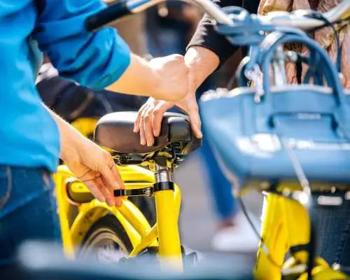 Amsterdam: 3-Hour Bike Tour with Local Guide & Hidden Gems｜Netherlands