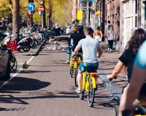 Amsterdam: Relaxed City Highlights Guided Bike Tour｜Netherlands
