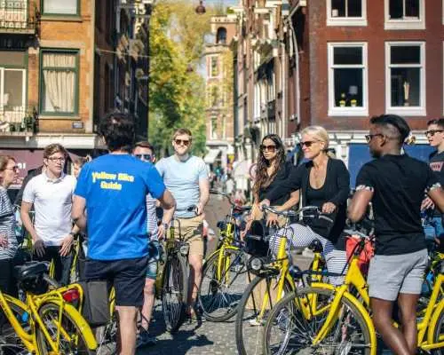 Amsterdam: Relaxed City Highlights Guided Bike Tour｜Netherlands