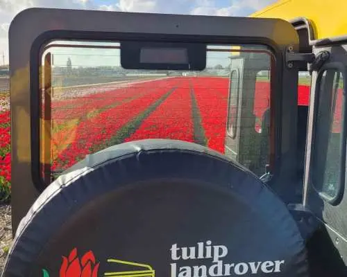Enjoy the tulip fields in a Landrover with a Local guide!｜Netherlands