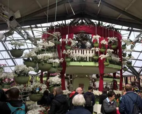 จากอัมสเตอร์ดัม: ทัวร์กลุ่มเล็ก Keukenhof และ Zaanse Schans | เนเธอร์แลนด์