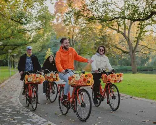 Amsterdam: Top Highlights Guided Bike Tour in EN/DE/ES/FR/IT｜Netherlands