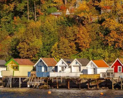 Oslo: Guided Sightseeing Fjord Cruise on Premium Silent Boat｜Norway