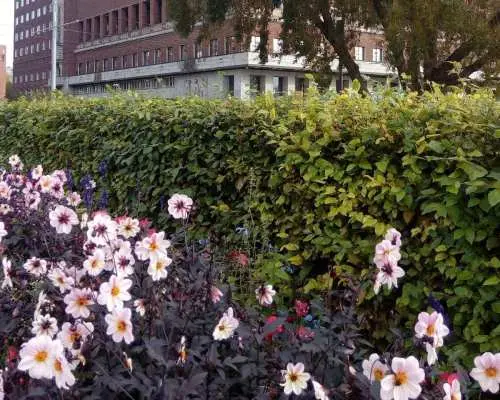 Best of Oslo: Walking Tour with a local guide｜Norway