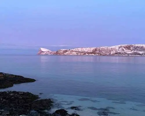 Tour tham quan Tromsø trong ngày: Vịnh hẹp, núi non và những điểm nổi bật của thành phố | Na Uy