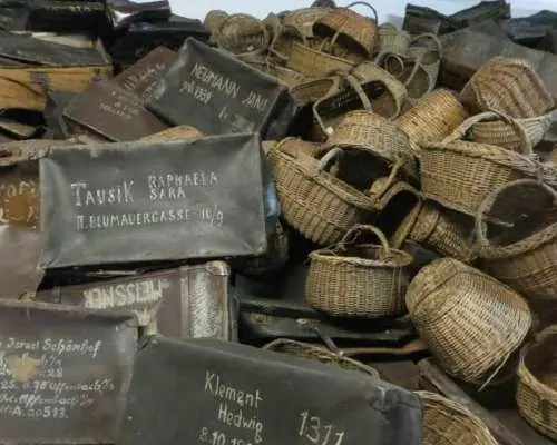 Auschwitz-Birkenau and Krakow Private Car Trip from Katowice｜Poland