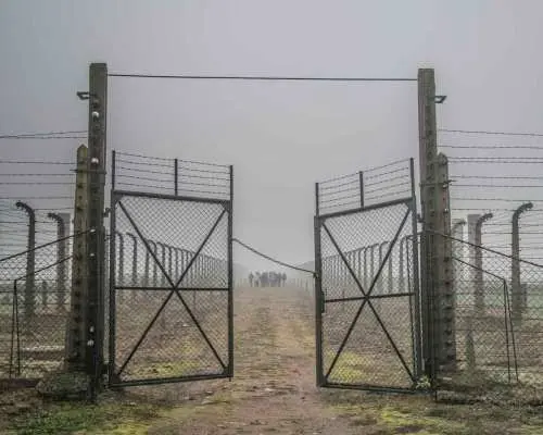 Kraków: Auschwitz-Birkenau & Salt Mine Full-Day Guided Tour｜Poland