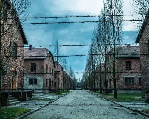 Kraków: Auschwitz-Birkenau & Salt Mine Full-Day Guided Tour｜Poland