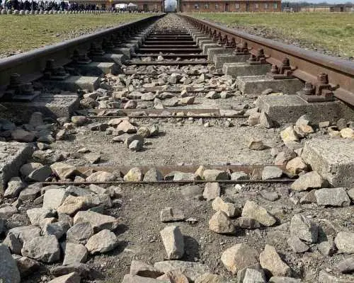 Kraków: Phương tiện vận chuyển riêng đến Bảo tàng Auschwitz-Birkenau | Ba Lan