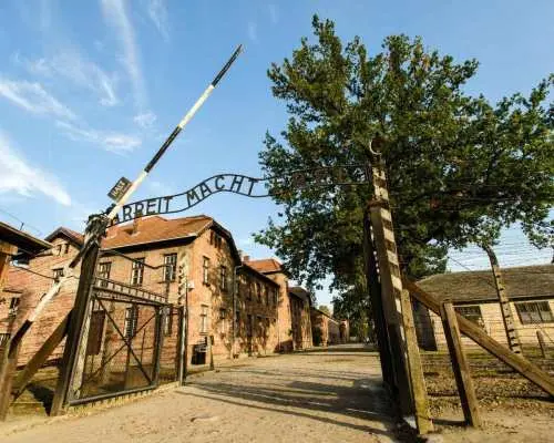 Kraków: Phương tiện vận chuyển riêng đến Bảo tàng Auschwitz-Birkenau | Ba Lan