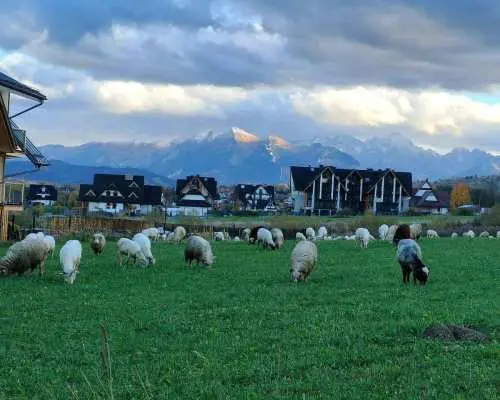 Krakow: Zakopane and Thermal Pools Tour with Hotel Pickup｜Poland