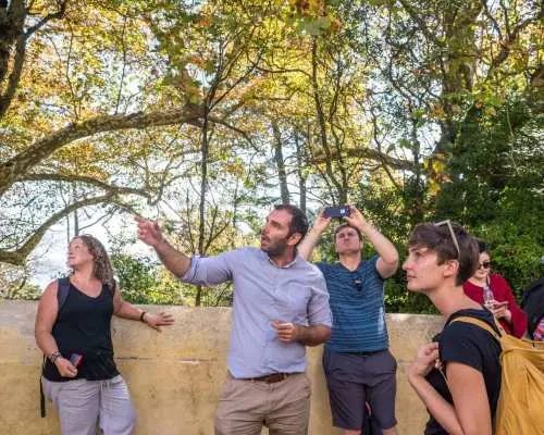 Chuyến tham quan nhóm nhỏ Sintra và Cascais từ Lisbon｜Bồ Đào Nha