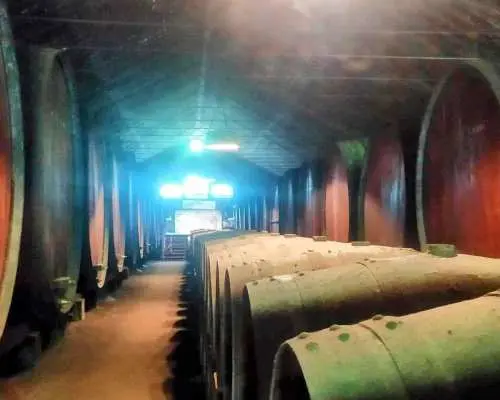 From Lisbon: Arrábida Tiles & Wine Private Tour｜Portugal