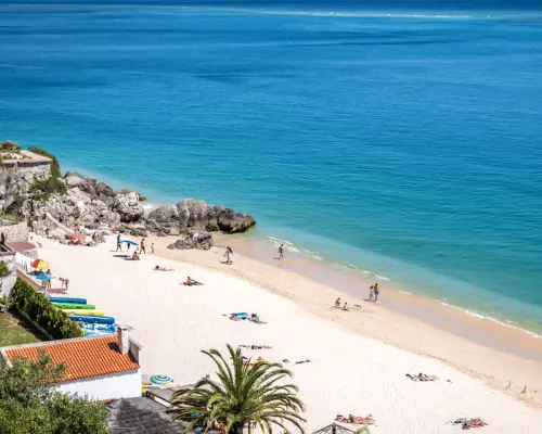 Từ Lisbon: Công viên tự nhiên Arrábida riêng với nếm rượu vang｜Bồ Đào Nha