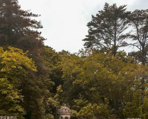 辛特拉佩纳宫和雷加莱拉宫半日游（小团）｜葡萄牙