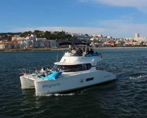 Lisbon: Private Luxury Catamaran Tour with Welcome Drink｜Portugal