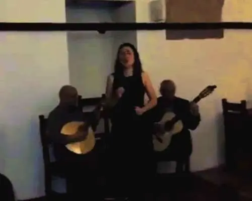 Private half-day Lisbon by Night Fado UNESCO Heritage &Views｜Portugal