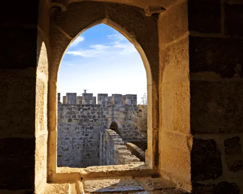 Lisbon: São Jorge Castle and Alfama Private Walking Tour｜Portugal