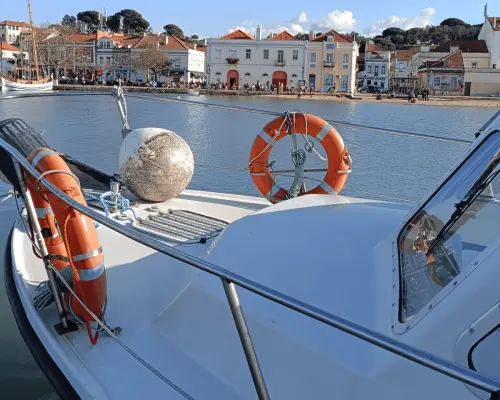 Lisbon: Private Boat Tour with Lunch and Open Bar｜Portugal