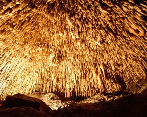 อัลคูเดีย: ทัวร์ถ้ำดรัคจากทางเหนือพร้อมล่องเรือ | สเปน