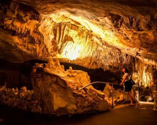 อัลคูเดีย: ทัวร์ถ้ำดรัคจากทางเหนือพร้อมล่องเรือ | สเปน