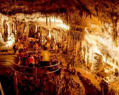 อัลคูเดีย: ทัวร์ถ้ำดรัคจากทางเหนือพร้อมล่องเรือ | สเปน