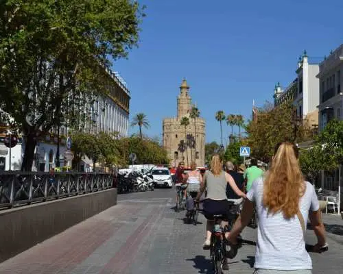 Seville: Những điểm nổi bật của tour xe đạp khám phá thành phố | Tây Ban Nha