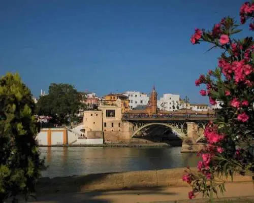 Seville: Highlights City Bike Tour｜Spain