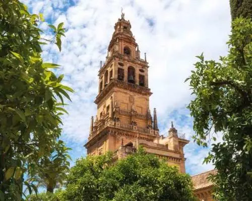 Córdoba: Mosque-Cathedral Guided Tour｜Spain