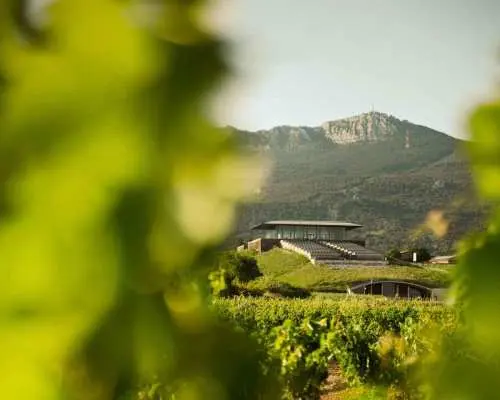 From San Sebastian: Rioja Uncorked - Private Wineries Trip｜Spain