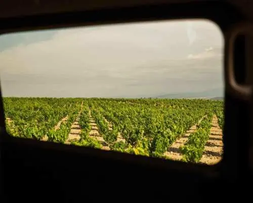 From San Sebastian: Rioja Uncorked - Private Wineries Trip｜Spain