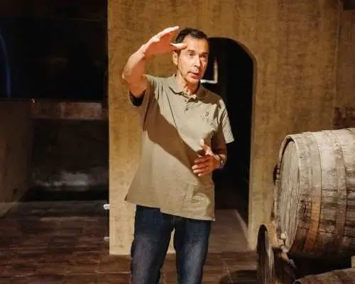 Từ Barcelona: Chuyến đi trong ngày đến Montserrat và nhà máy rượu vang Cava | Tây Ban Nha