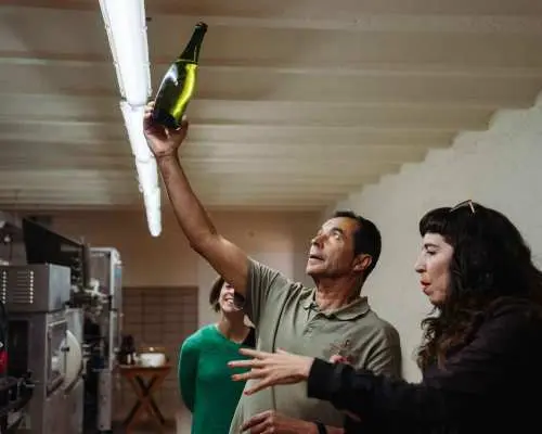 Từ Barcelona: Chuyến đi trong ngày đến Montserrat và nhà máy rượu vang Cava | Tây Ban Nha