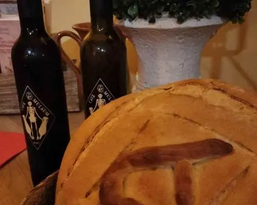 Ancient Rome gastronomic experience - wine tasting｜Spain