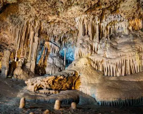 Mallorca: Full day tour to the Caves of Drach and Hams｜Spain