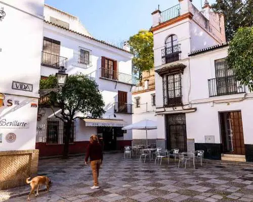Seville: Private 3-Hour Monuments Tour｜Spain
