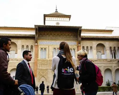 Alcazar & Old Jewsih Quarter Exclusive Group, max. 8 guests｜Spain