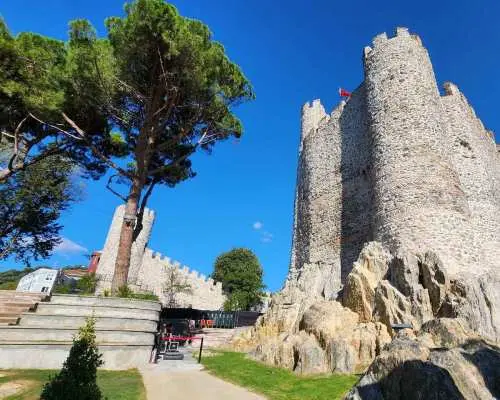 Istanbul: Bosphorus Cruise w/Anatolian Fortress Stop over｜Turkey