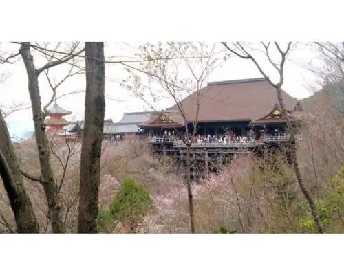 【京都・東山】お坊さんと一緒に歩く｜ぶらり東山｜仏教に興味のある方オススメ！