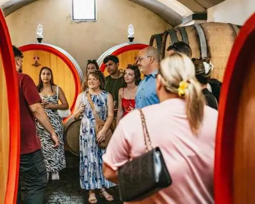 From Naples: Wine Tasting Tour on Vesuvius Slopes with Lunch｜Italy