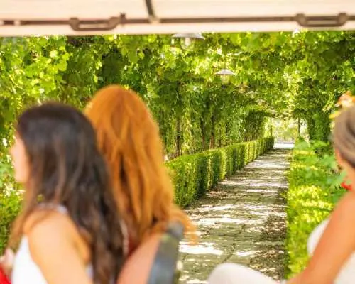 Từ Sorrento: Tham quan nhà máy rượu vang, nếm thử rượu và ăn trưa | Ý