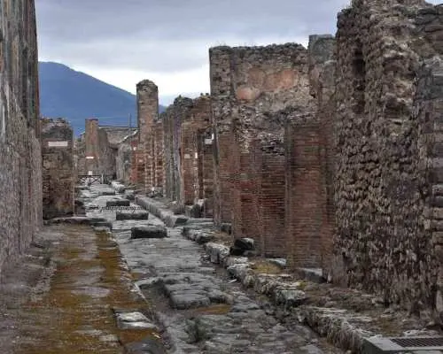 From Rome: Pompeii and Mount Vesuvius Private Tour｜Italy