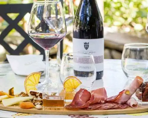 From Pompeii: Mount Vesuvius Wine Tasting and Lunch｜Italy