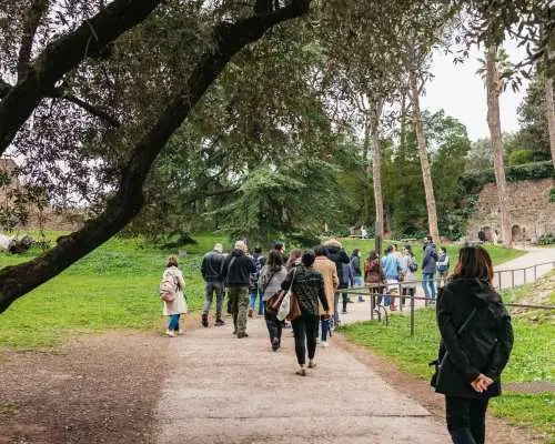 罗马：罗马竞技场、古罗马广场和帕拉蒂尼山之旅 + 可选竞技场参观｜义大利