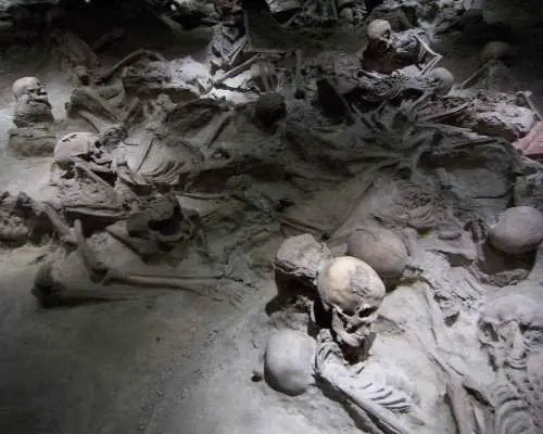 From Amalfi Coast: Pompeii Herculaneum skip-the-line｜Italy