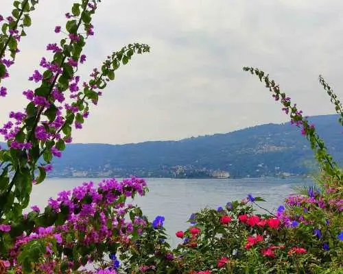 Lake Maggiore: Stresa and Isola Madre Private Tour｜Italy