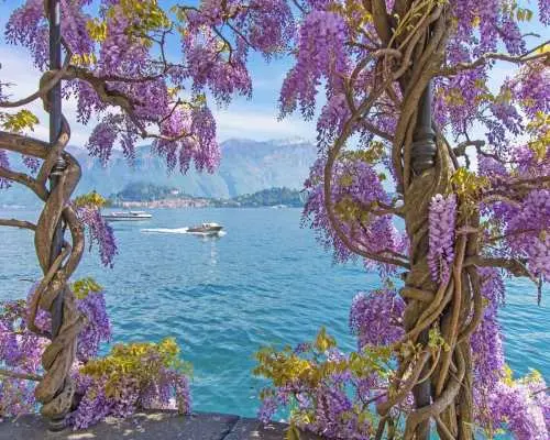 From Milan: Lake Como Private Day Trip｜Italy