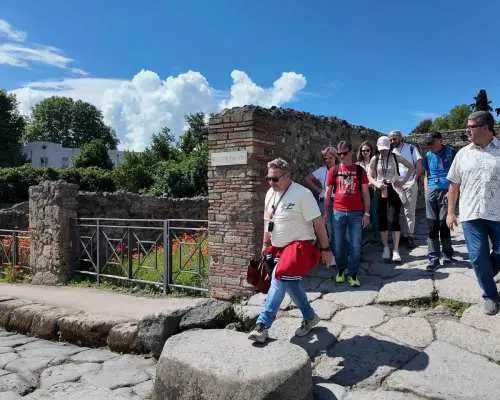 Từ cảng Naples: Tour đi bộ có hướng dẫn viên tại Pompeii hoặc hướng dẫn viên thông minh | Ý