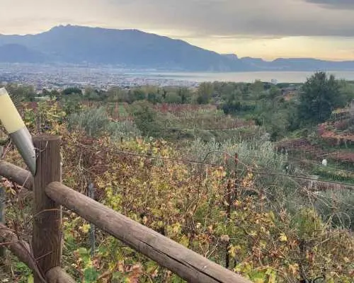 Naples to: Pompei , Vesuvius, Ercolano｜Italy
